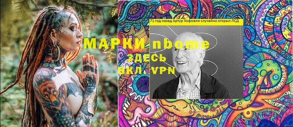 стаф Волосово