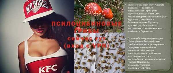 прущие крисы Володарск